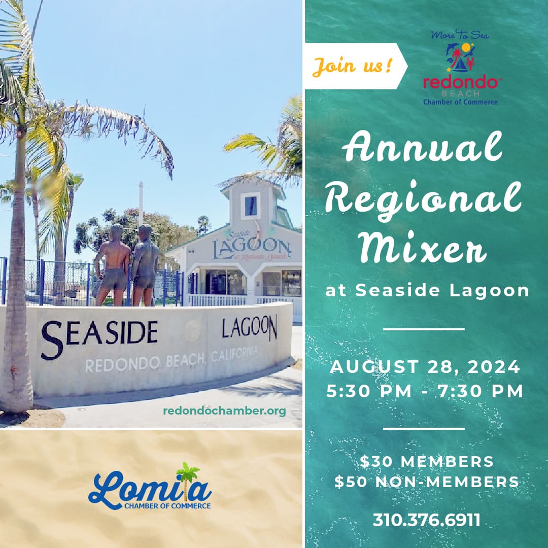 Annual Redondo Beach Regional Mixer                    
AUGUST 28, 2024